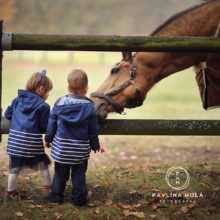 focení dětí s koněm
